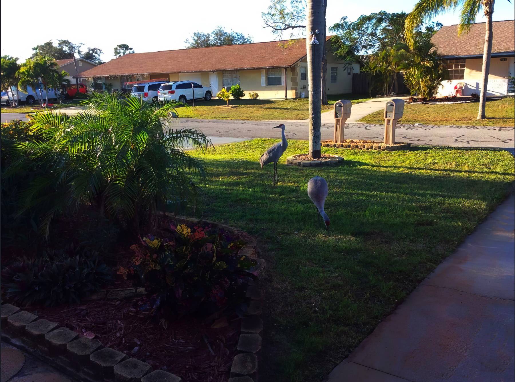 Neighborhood Visitors