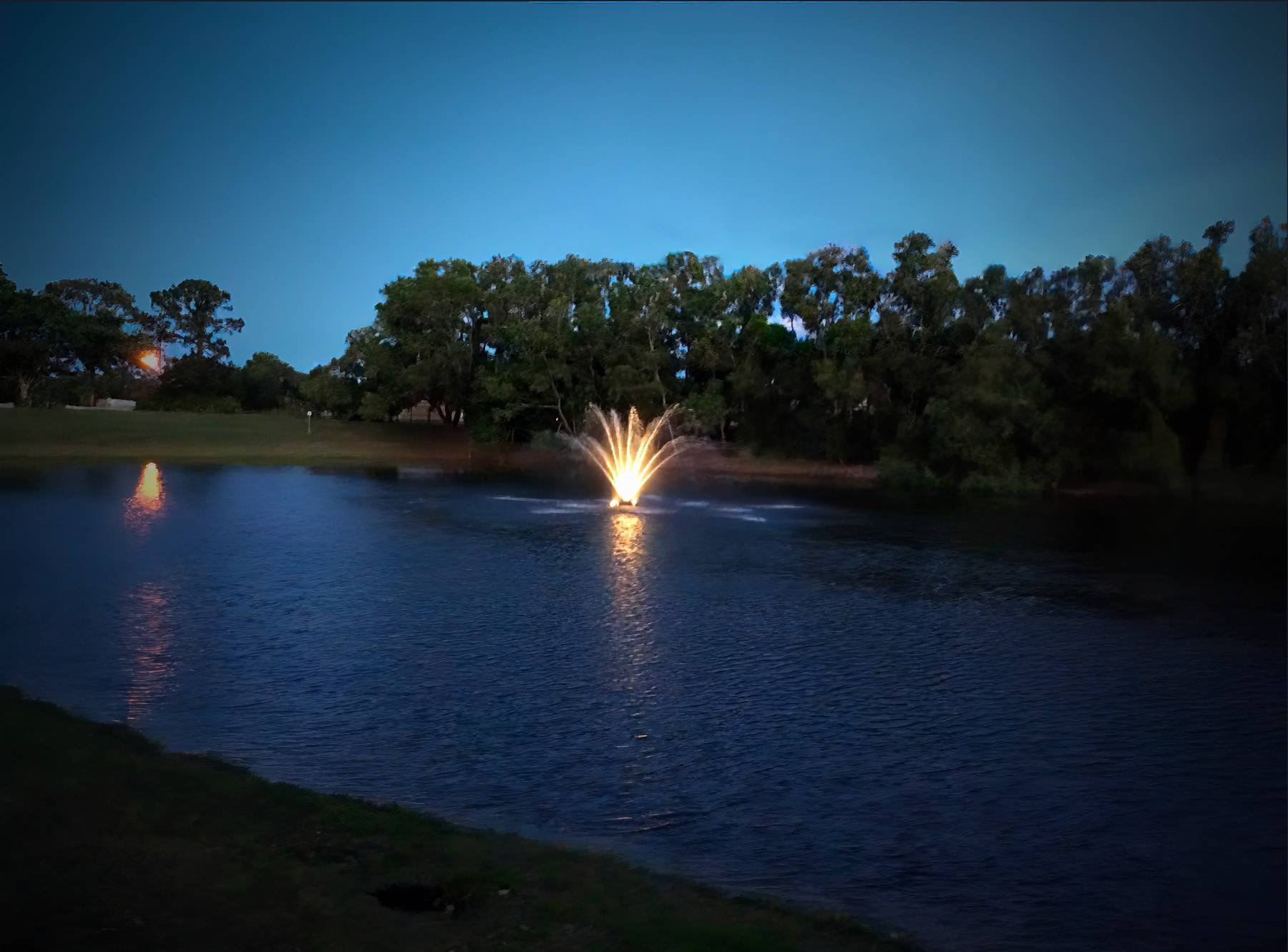 Pond Nighttime